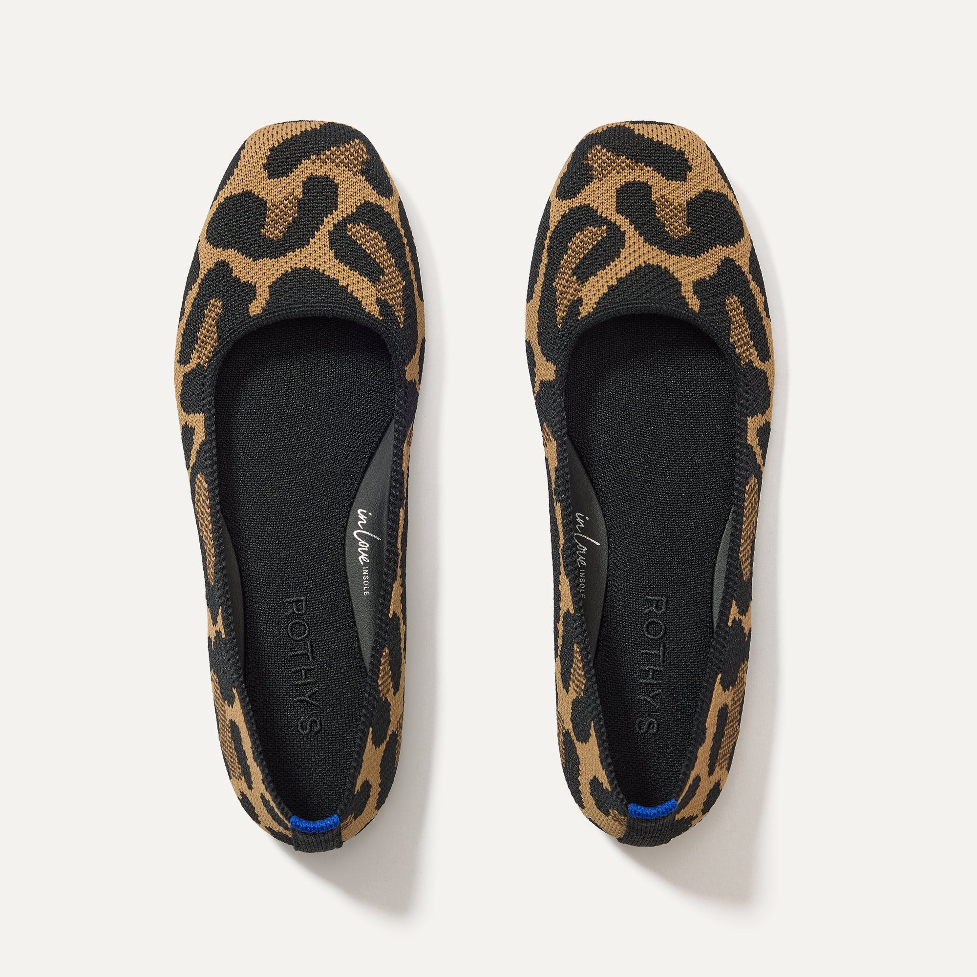 The Max Square Amber Cat